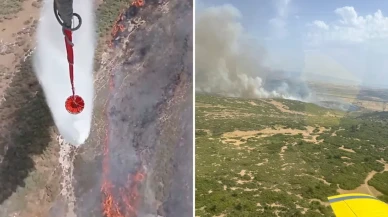 Foça'daki arazide yangın