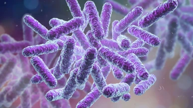 Enfeksiyon nedeni olan bakteri tıbbi plastiği besin kaynağı olarak kullanıyor