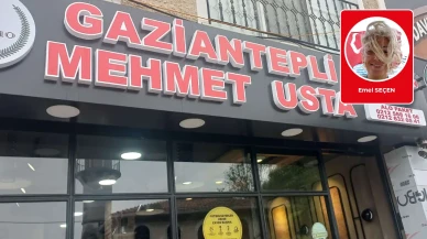 Emel Seçen yazdı: Gaziantepli Mehmet Usta yeniden