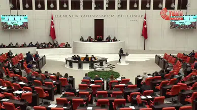 TBMM'de "Kürtçe hakaret" tartışması: DEM Partili vekil sözlerini geri aldı