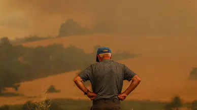 Bakan Yumaklı: Sakarya-Bilecik yangınıyla ilgili 3 kişi gözaltında