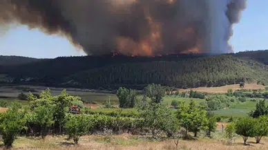 Adana Çukurova’daki orman yangınına sebep olan 5 kişi tutuklandı