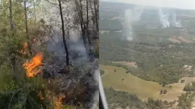 Adana’da orman yangını: Arazöz devrildi, yaralılar var