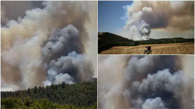 Sakarya Taraklı’da orman yangını: 12 helikopter ve uçakla müdahale, evler tahliye edildi