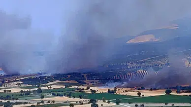 İzmir'de orman yangını çıktı: 7 helikopter ile müdahale gerçekleştiriliyor