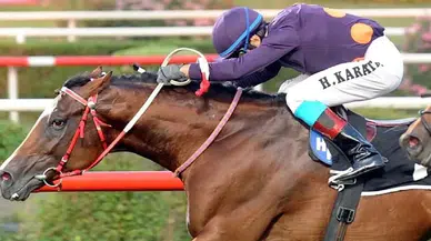 99. Gazi Koşusu ne zaman, saat kaçta? Halis Karataş yarışacak mı, hangi atlar katılıyor?