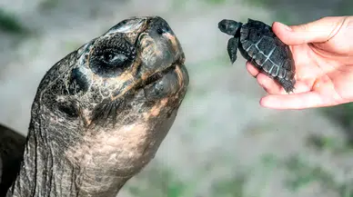 Babalar Günü'nü ilk kez 135. yaşında kutladı!