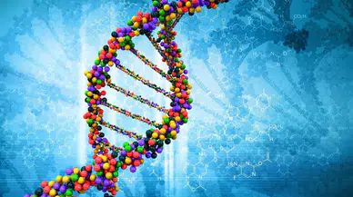 İnsan DNA’sı sıfırdan yaratılıyor