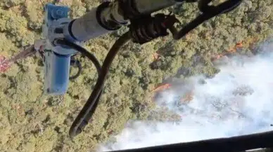 Foça’da orman yangını: Havadan ve karadan müdahale sürüyor