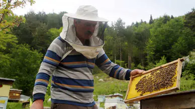 Doğu Karadeniz, 5 ayda 1 milyon dolarlık bal ihracatı gerçekleştirdi