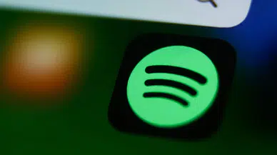 Türk sanatçıları Spotify'dan ne kadar gelir elde etti?