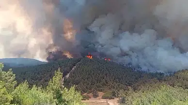 İzmir'de orman yangını: Foça ve Aliağa alevler içinde!