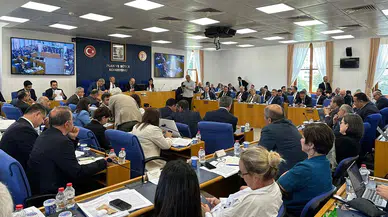 Tartışmalara neden olan 'zeytinlik' maddesi komisyonda kabul edildi!