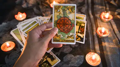 Tarot falı ve kürtaj reklamlarına ceza yağdı: Ticaret Bakanlığı’ndan 1,4 milyon TL’lik yaptırım