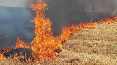 İstanbul İtfaiyesi’nden anız yangını uyarısı: En çok yangın Silivri’de
