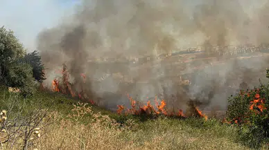 Büyükçekmece'de otluk alanda yangın: Elektrik hattında patlamalar yaşandı
