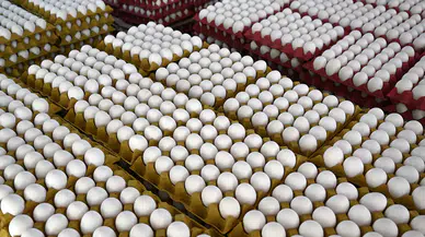 Yumurtada 'son tüketim tarihi' ibaresi kaldırılıyor, yerine...