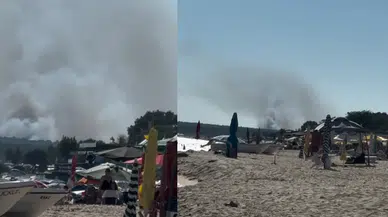 Edirne Enez’de orman yangını