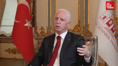 İstanbul Valisi Davut Gül: Yıl sonunda sahipsiz sokak hayvanları gündemden çıkacak!