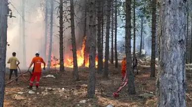 Aydın’ın Çine ilçesinde orman yangını: Müdahale sürüyor