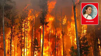 Elif Erdem yazdı: Küllerinden sanat doğar mı? Kağıdın hatırası, rengin hafızası