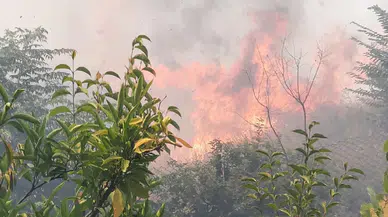 Kocaeli Çayırova’da yangın paniği: Alevler evler ve okula yaklaştı