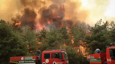 Bilecik ve İzmir 'Genel Hayata Etkili Afet Bölgesi' ilan edildi