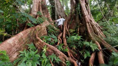 WWF: Doğanın bir yıllık kaynağını yalnızca yedi ayda tükettik!