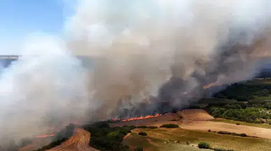Çeşme’deki orman yangını ulaşımı felç etti: Yol güvenlik nedeniyle kapatıldı