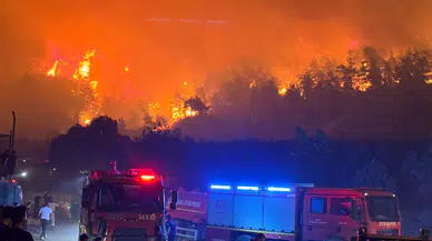 Bursa’daki orman yangınına ilişkin bir kişi gözaltına alındı
