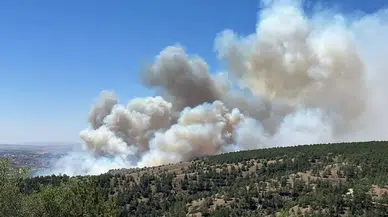 Ankara ODTÜ ormanında korkutan yangın: Eymir Gölü çevresi tahliye edildi, yangın kontrol altına alındı