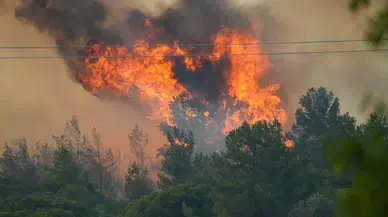 Bakan Yumaklı: 7 orman yangını kontrol altında, 44 şüpheli gözaltında