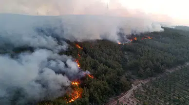Tekirdağ'da başlayan yangın Gelibolu'ya sıçradı: 4 kişi hastaneye kaldırıldı