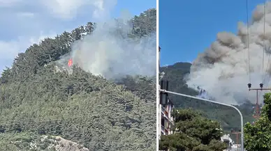 Hatay Dörtyol’da orman yangını: Müdahale sürüyor