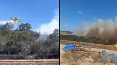 Silivri'de otluk alanda başlayan yangın ormana sıçradı