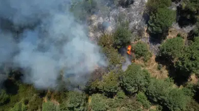 Sultangazi Kent Ormanı’ndaki yangın bir saatte kontrol altına alındı