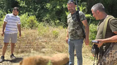 Hayvan parkından kaçan aslan avcılar tarafından öldürüldü!