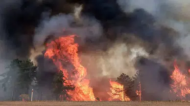 Bursa’da havai fişek yangını soruşturmasında şüphelilere ağaç dikme cezası