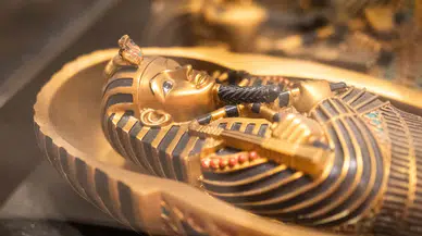 Firavunun lanetinden şifaya: Aspergillus flavus kanser tedavisinde umut oldu