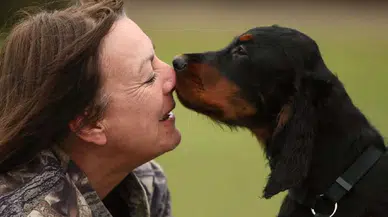 Köpekler artık "birinci derece aile üyesi" sayılacak