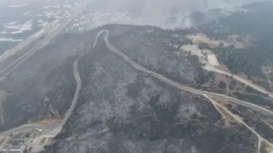 Bursa'daki yangının acı boyutu gün ağarınca ortaya çıktı: 100 hektardan fazla alan kül oldu