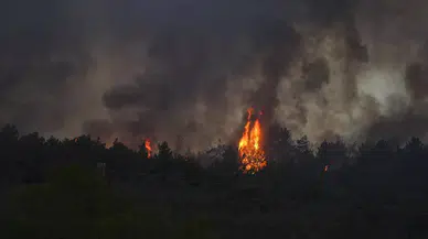 İzmir Urla’da orman yangını: Müdahale havadan ve karadan sürüyor