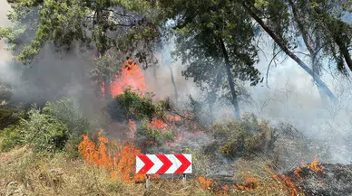 Tarım ve Orman Bakanı İbrahim Yumaklı, orman yangınlarının son durumuna ilişkin açıklama yaptı