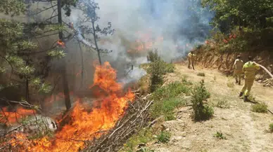 Bakan Kurum, orman yangınlarının bilançosunu açıkladı
