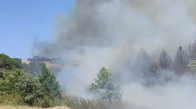 Balıkesir Sındırgı’da orman yangını: Havadan ve karadan müdahale sürüyor