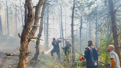 Sakarya'da orman yangınlarına yönelik tedbirler: Ormanlık alanlara girişler ve yanıcı madde satışı yasaklandı!