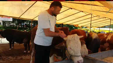 Türkiye genelinde hayvan pazarları kapatıldı!