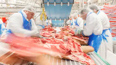 Metro, Migros ve McDonald’s’a et tedarik eden Erşan Et, konkordato ilan etti