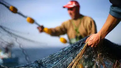Balıkçılar yeni sezona ağır maliyetlerle hazırlanıyor: Masraflarımız 1’e 5 oldu