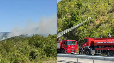 Bartın Amasra’da orman yangını